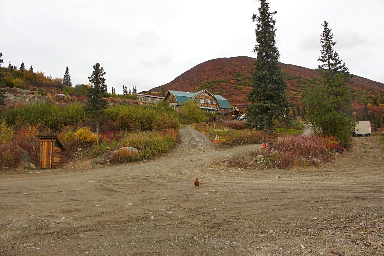 Alpine Creek Lodge Cantwell Екстериор снимка
