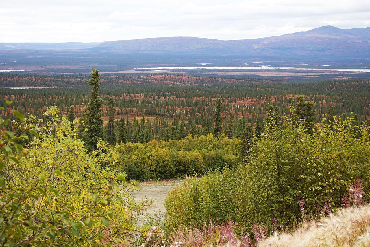 Alpine Creek Lodge Cantwell Екстериор снимка